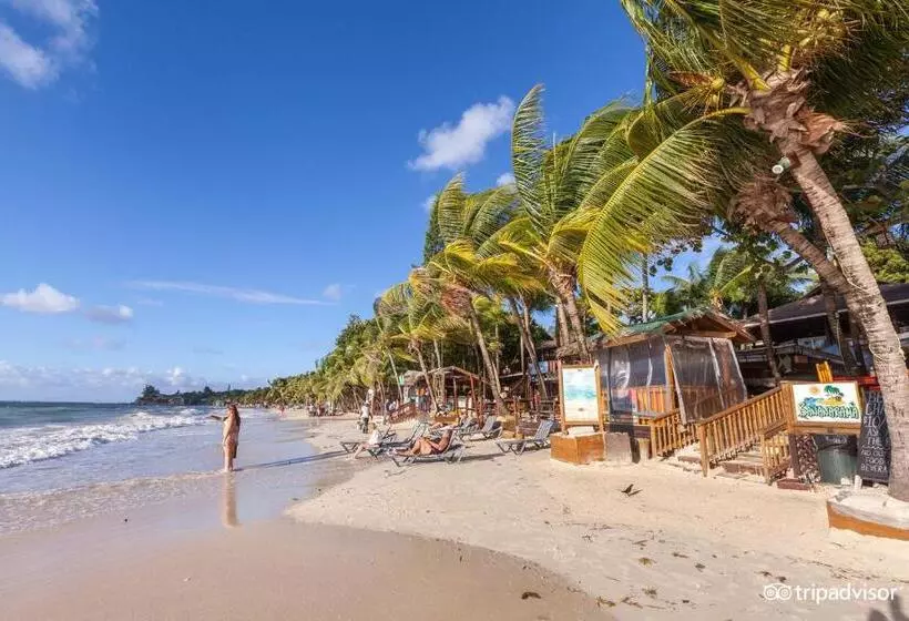 هتل Bananarama Dive & Beach Resort