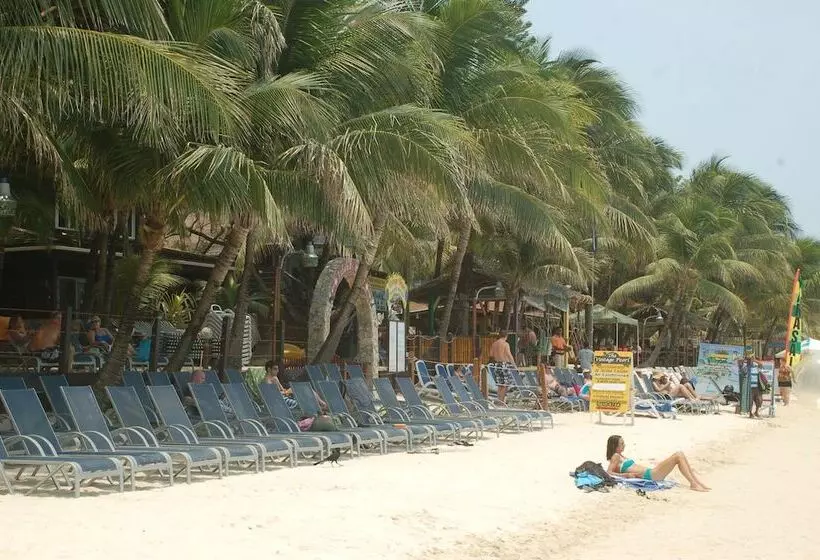 هتل Bananarama Dive & Beach Resort