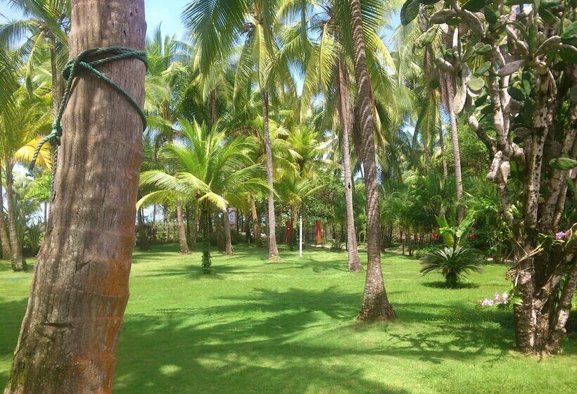فندق Beso Del Viento