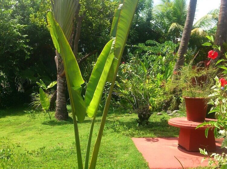 فندق Beso Del Viento