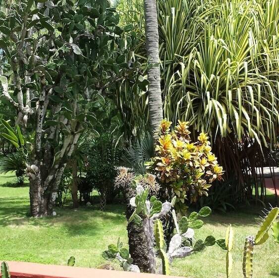 فندق Beso Del Viento