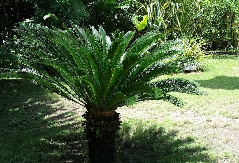 فندق Beso Del Viento