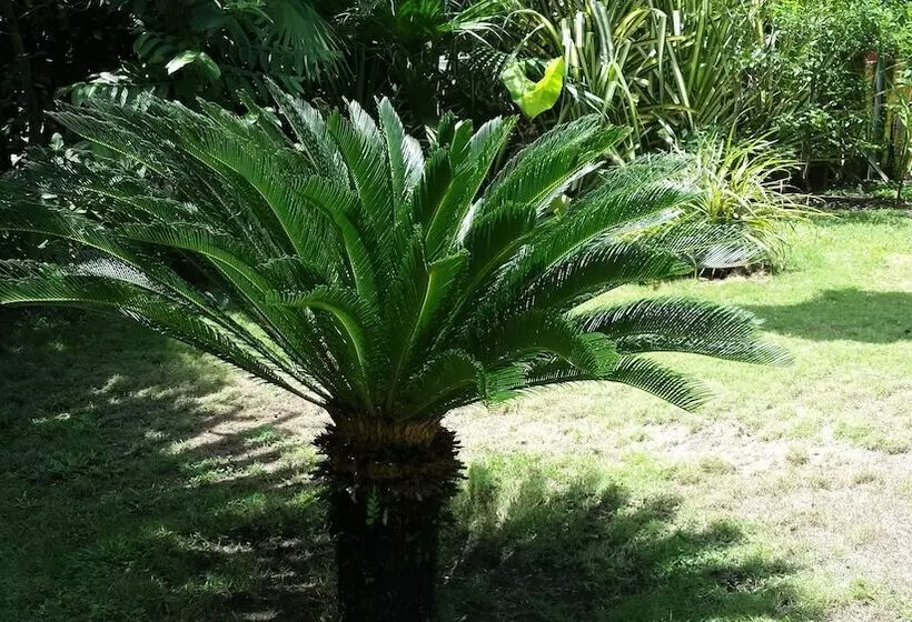 Отель Beso Del Viento