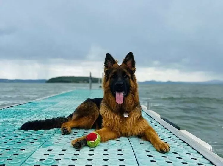 호텔 Camping Village Punta Navaccia