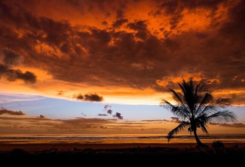 Отель El Castillo Luxury Boutique