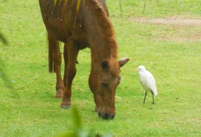 Hotel Fantasy Golf Resort