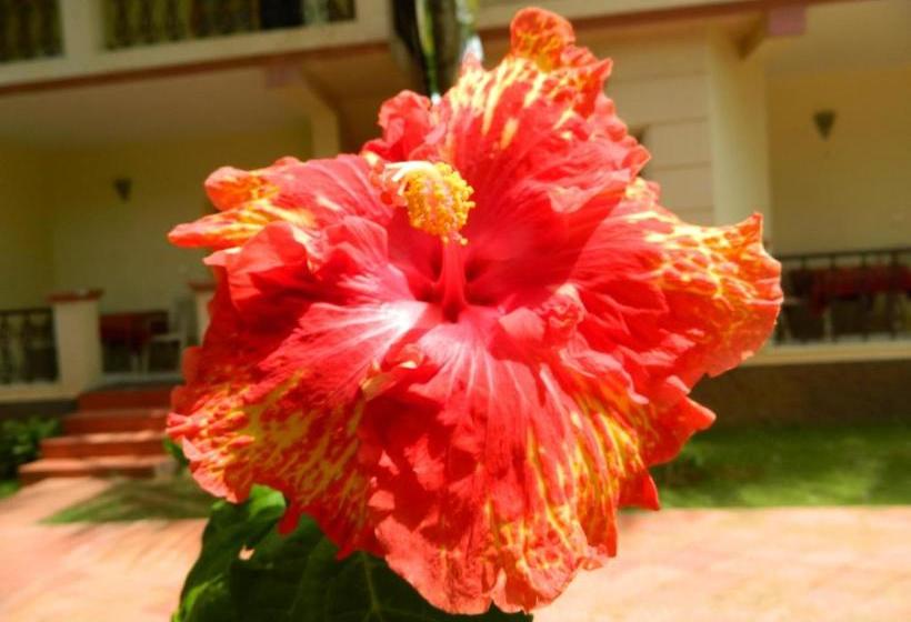 هتل Fantasy Golf Resort