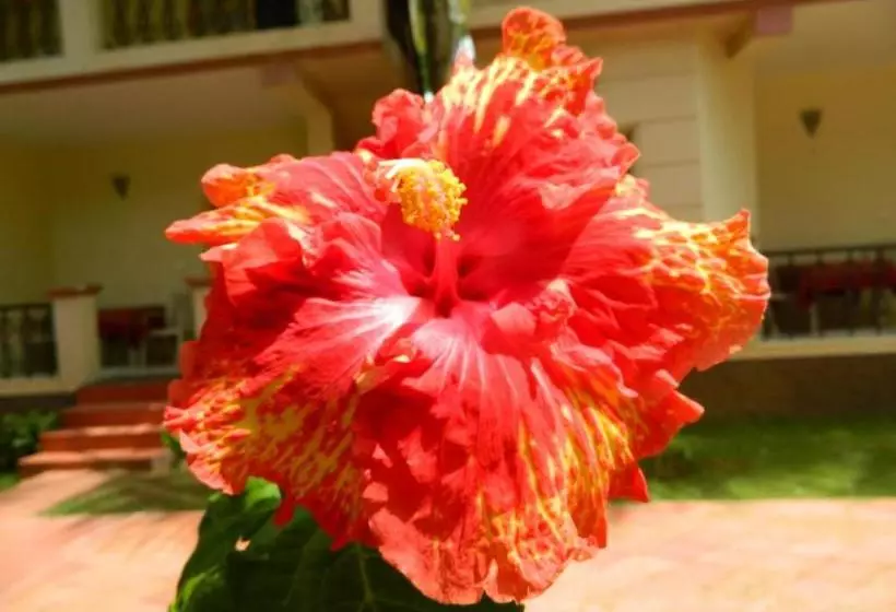 Hotel Fantasy Golf Resort