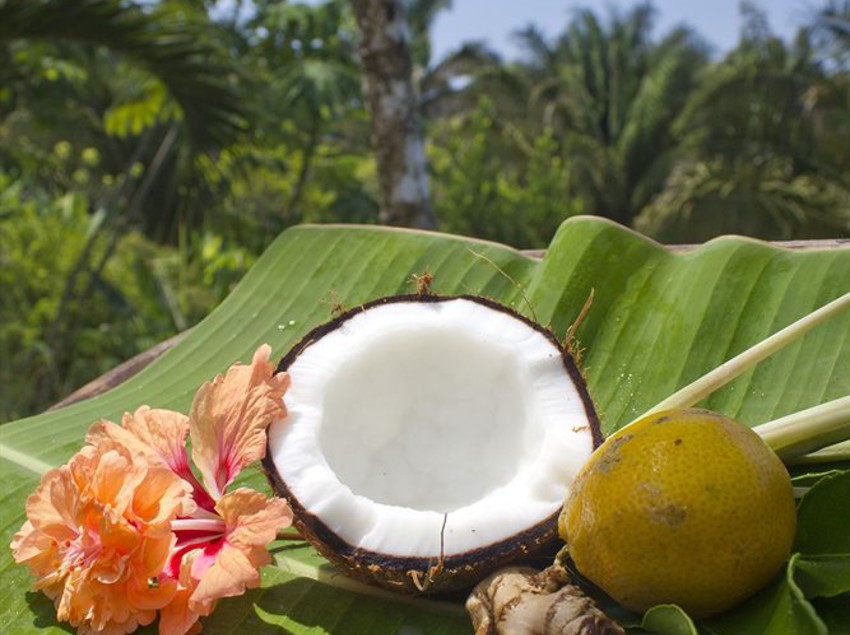 호텔 Finca Exotica Eco Lodge