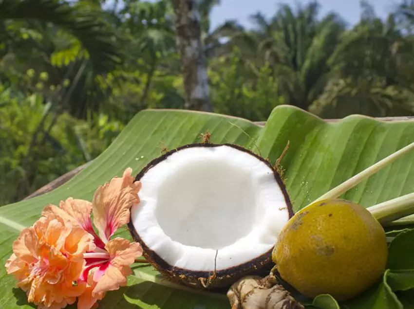 ホテル Finca Exotica Eco Lodge