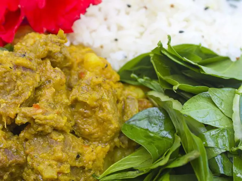 ホテル Finca Exotica Eco Lodge