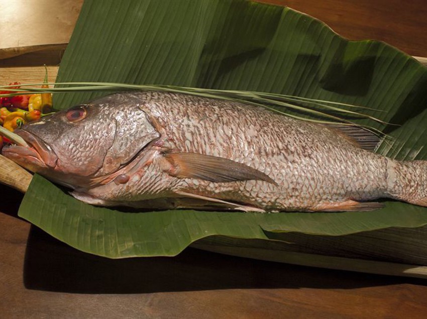 호텔 Finca Exotica Eco Lodge