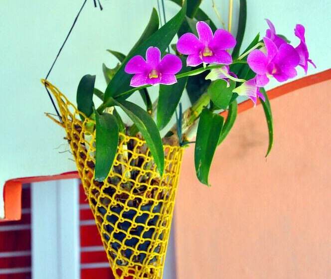 Отель Four Seasons Homestay Coorg