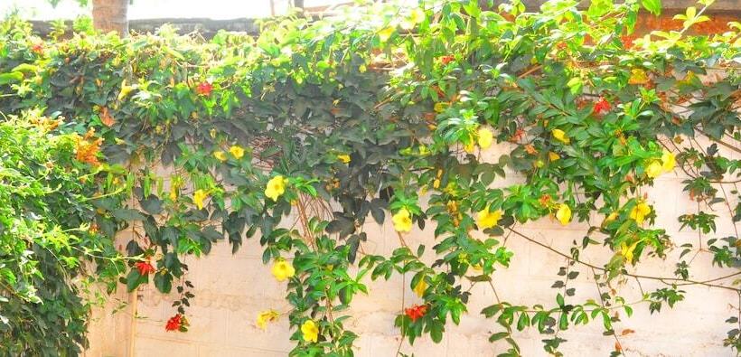 Отель Four Seasons Homestay Coorg