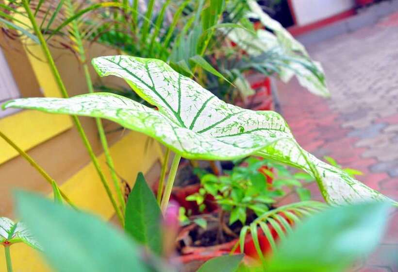 Отель Four Seasons Homestay Coorg