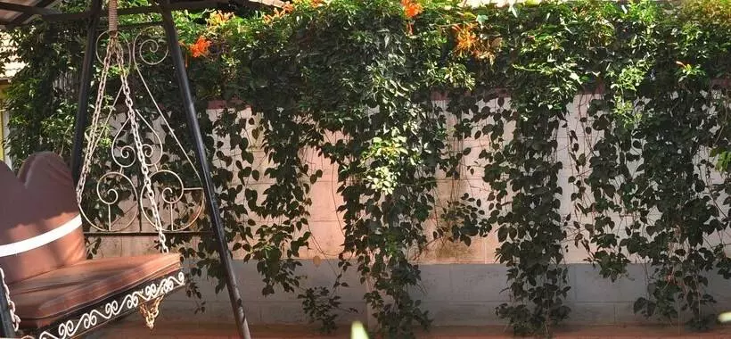 בית מלון כפרי Four Seasons Homestay Coorg