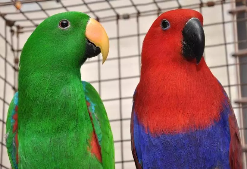 호텔 Sai Palki Niwara