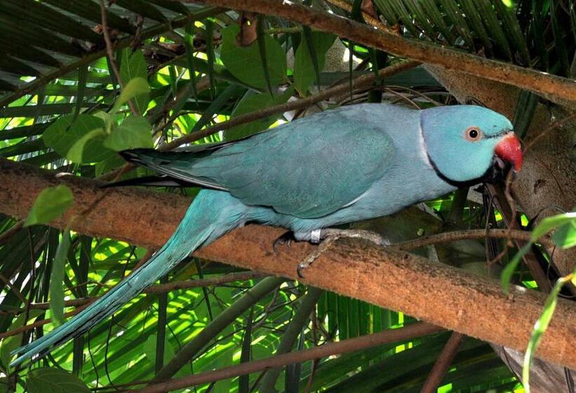 ホテル Sai Palki Niwara