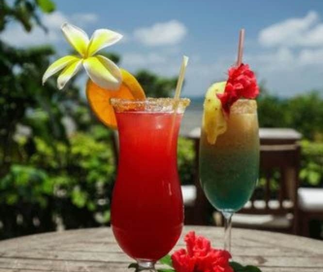 Hotel The Seaview Lodge