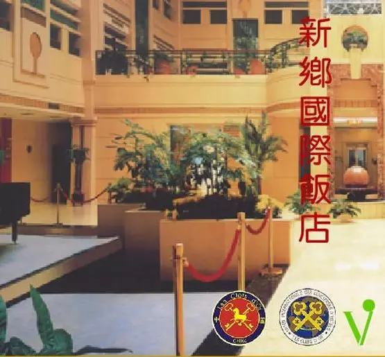 Otel Xinxiang International