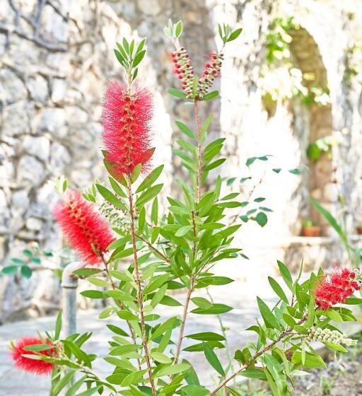 تختخواب و صبحانه Villa La Gitana