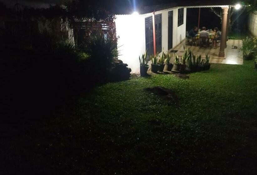 Majatalo Rainforest Breath   Sinharaja And Patna