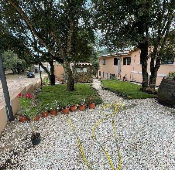 Отель Azienda Agrituristica S Argalasi   B&b   Affittacamere Loc S Argalasi Austis