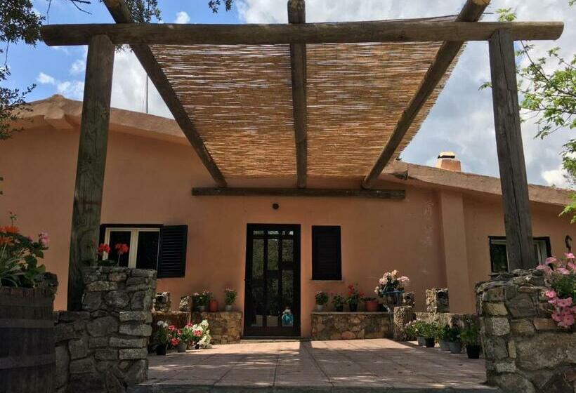 Отель Azienda Agrituristica S Argalasi   B&b   Affittacamere Loc S Argalasi Austis