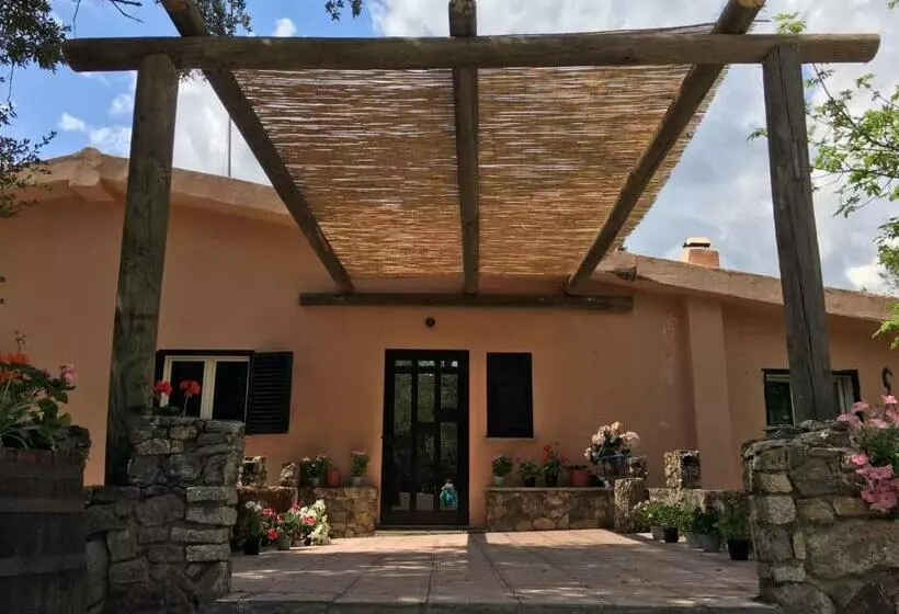 ホテル Azienda Agrituristica S Argalasi   B&b   Affittacamere Loc S Argalasi Austis