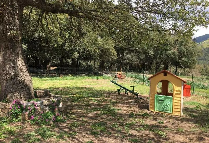 ホテル Azienda Agrituristica S Argalasi   B&b   Affittacamere Loc S Argalasi Austis
