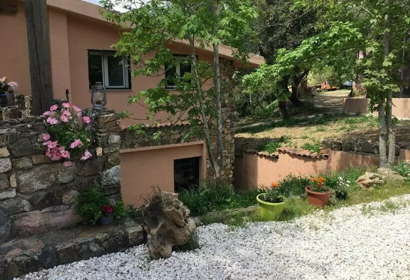 ホテル Azienda Agrituristica S Argalasi   B&b   Affittacamere Loc S Argalasi Austis