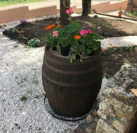 Отель Azienda Agrituristica S Argalasi   B&b   Affittacamere Loc S Argalasi Austis