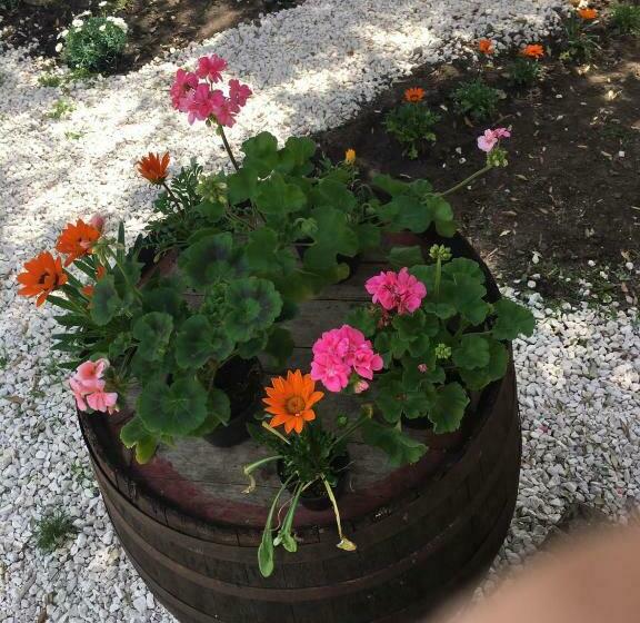 Отель Azienda Agrituristica S Argalasi   B&b   Affittacamere Loc S Argalasi Austis