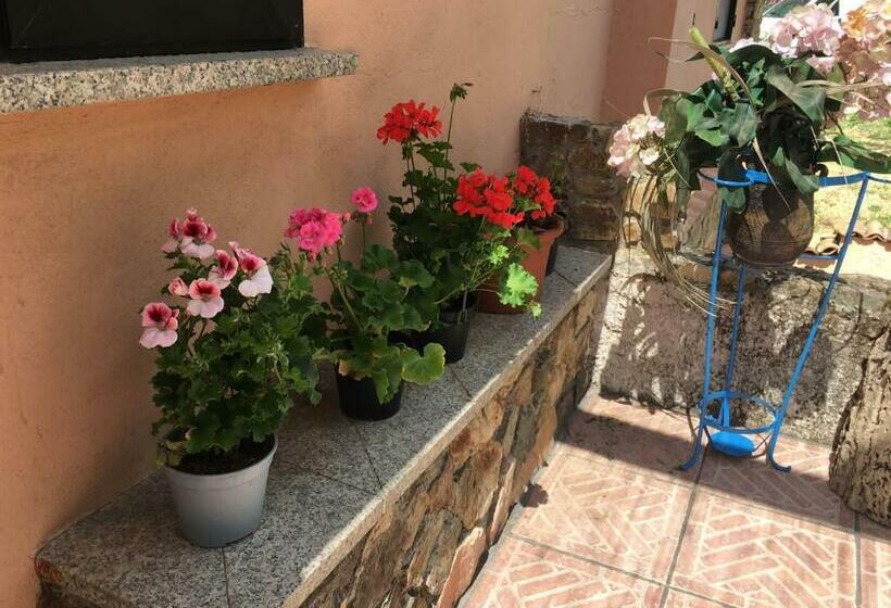 Отель Azienda Agrituristica S Argalasi   B&b   Affittacamere Loc S Argalasi Austis