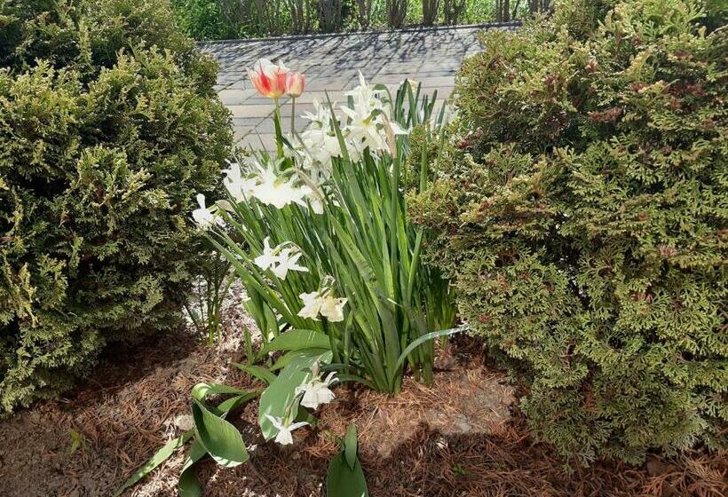 Pensjonat üveghíd Vendégház