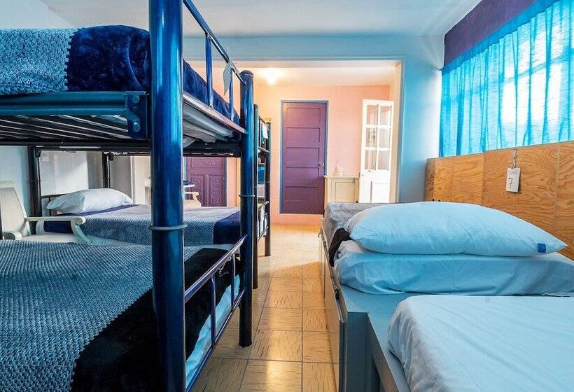 پانسیون Petit Hostel