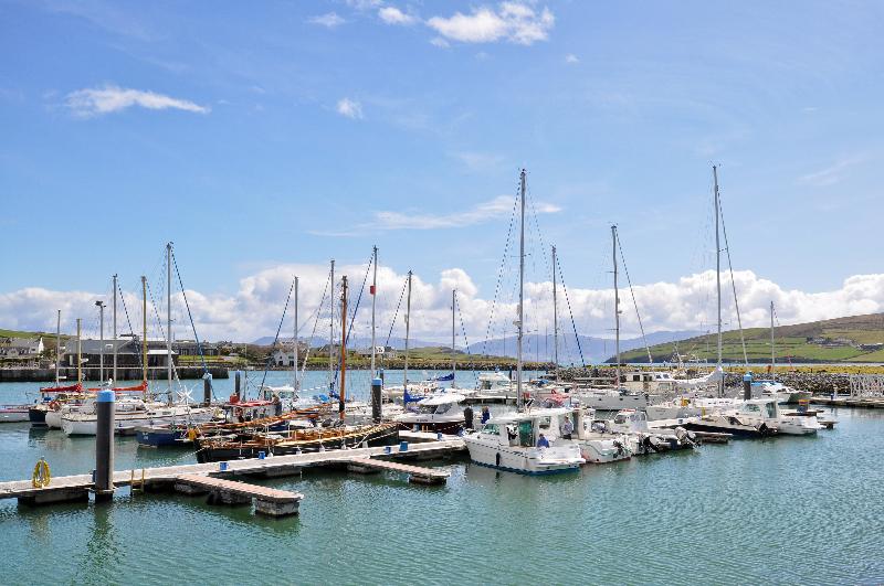 Dingle Harbour Lodge B&b