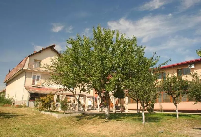 Otel Pension Andronic