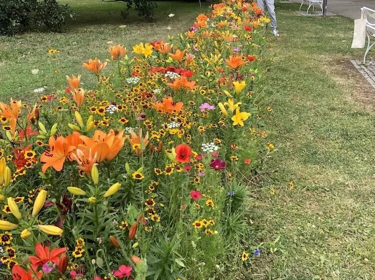 בית מלון כפרי Café Pension Sonnenkanzel