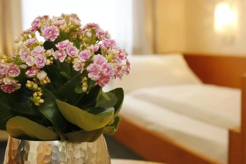 City Hotel Würzburg