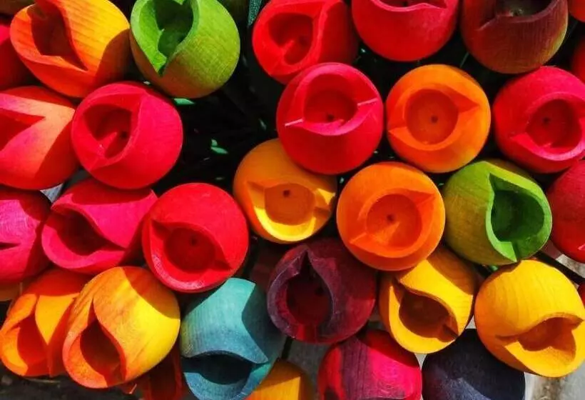 בית מלון כפרי De Koekoekshof