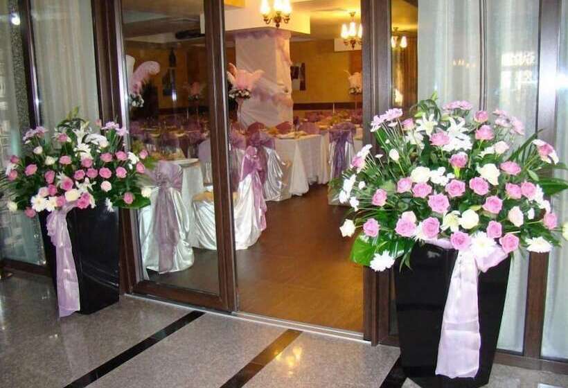 Hotel Helin Aeroport   Craiova