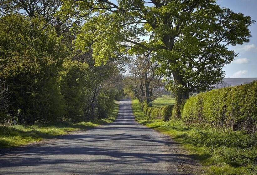 ホテル Lily Hill Farm