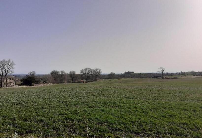 ホテル Lily Hill Farm