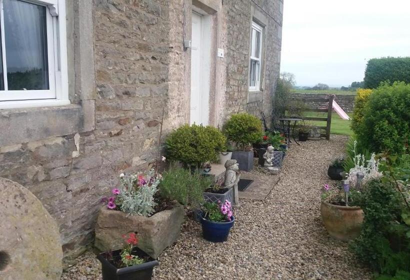 ホテル Lily Hill Farm