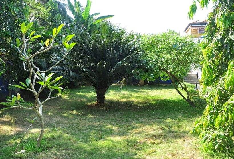 בית מלון כפרי Mayflower By Casa Eternal Beach Resort Baga