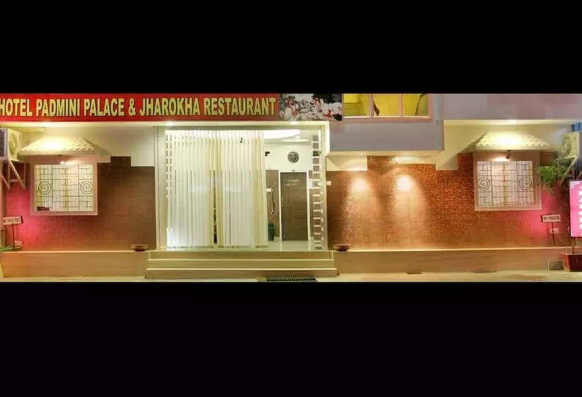 Отель Padmini Palace