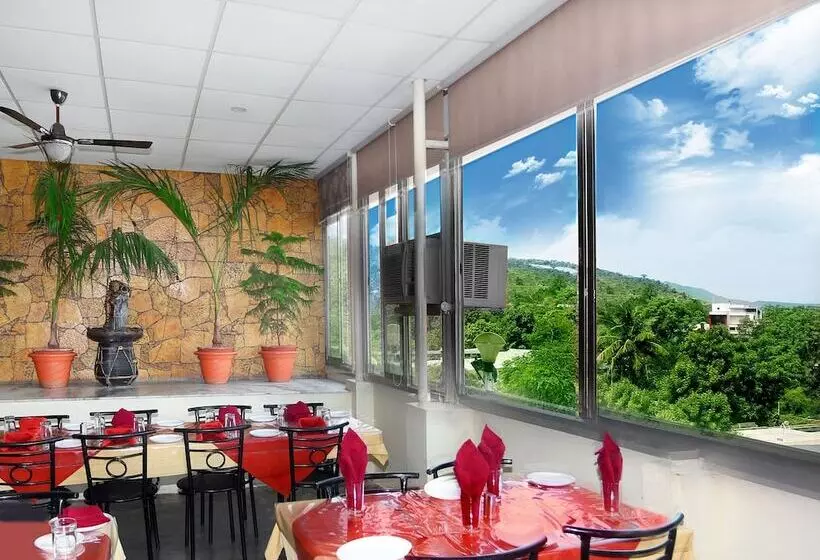 Отель Padmini Palace