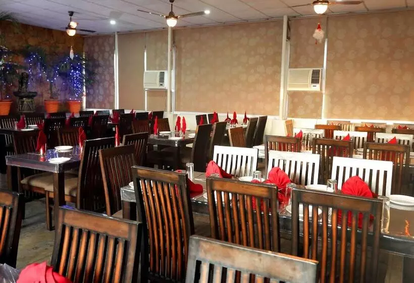 Отель Padmini Palace