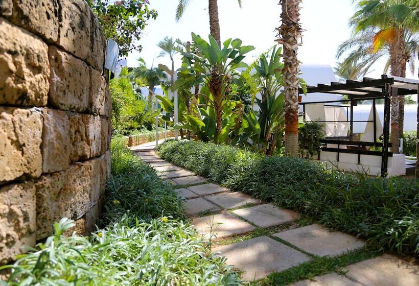 هتل Pangea Beach Resort